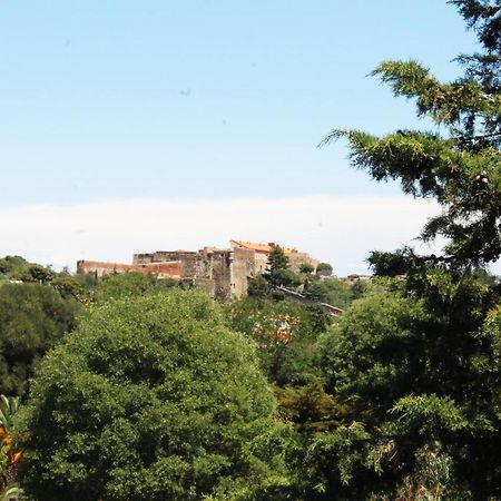 Magnifique Appartement Proche Centre Collioure Esterno foto