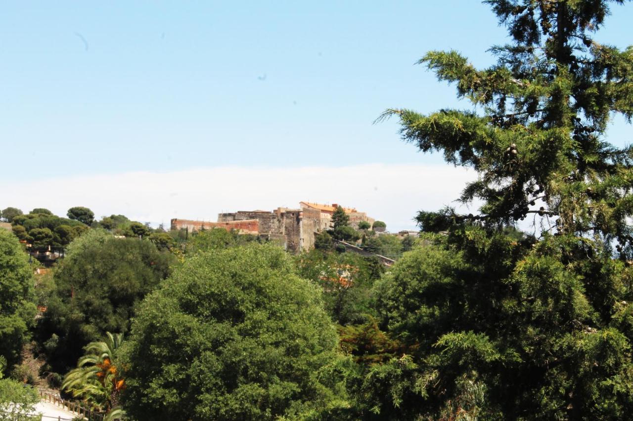 Magnifique Appartement Proche Centre Collioure Esterno foto